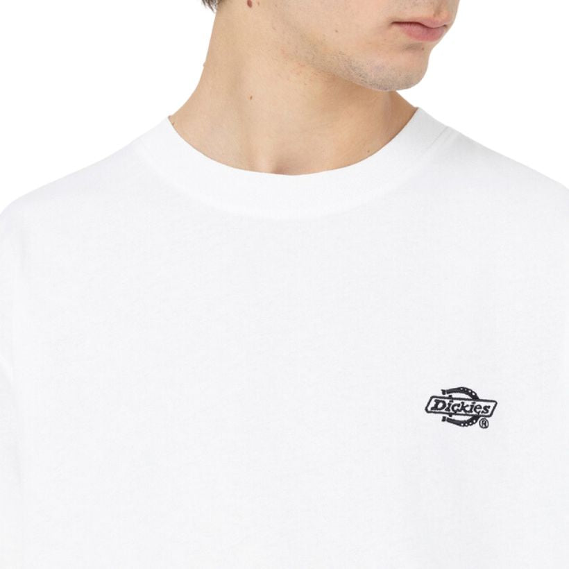 Dickies Summerdale Erkek T-Shirt 