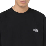 Dickies Summerdale Erkek T-Shirt 