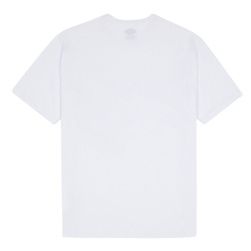 Dickies Summerdale Erkek T-Shirt 