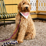 HAY Design Dogs Leash Braided 