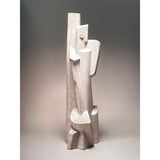 Pestil Books for vitruta A Century of Sculpture: The Nasher Collection 