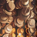 Pestil Books for vitruta Ecuador's Hidden Secret: The Panama Hat Legend 