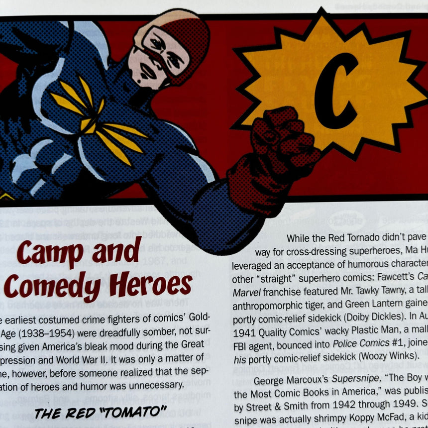 Pestil Books for vitruta The Superhero Book: The Ultimate Encylopedia of Comic-Book Icons and Hollywood Heroes 